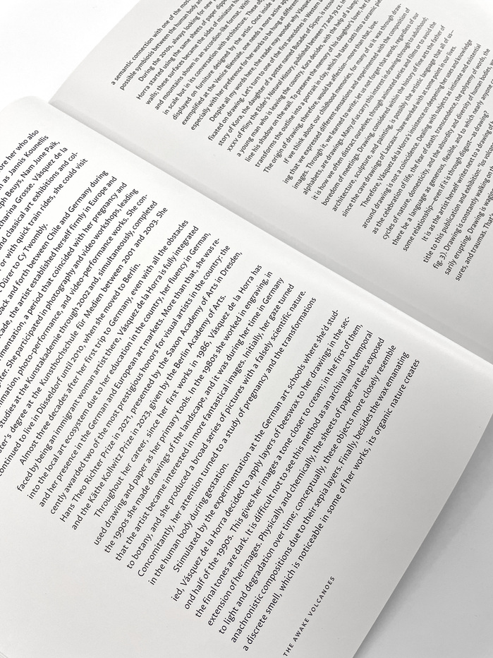 The Awake Volcanoes exhibition catalog 5