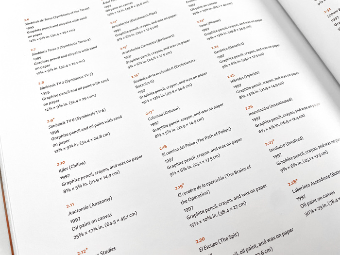 The Awake Volcanoes exhibition catalog 6