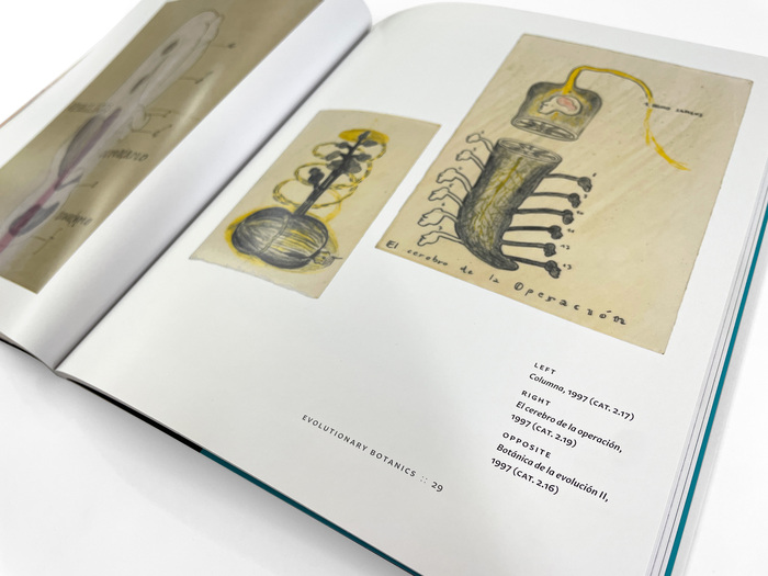 The Awake Volcanoes exhibition catalog 4