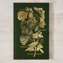 <cite>It Is All Equally Fragile</cite> by Alison Malee