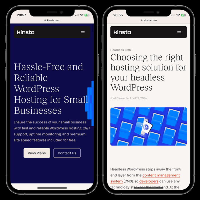 Kinsta website 4
