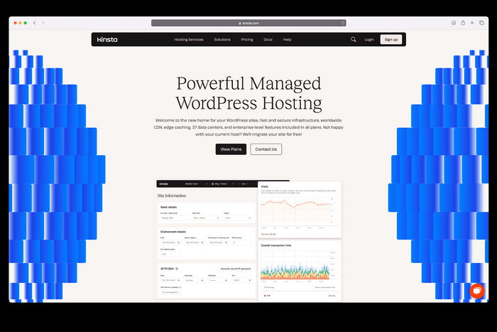 Kinsta website 5