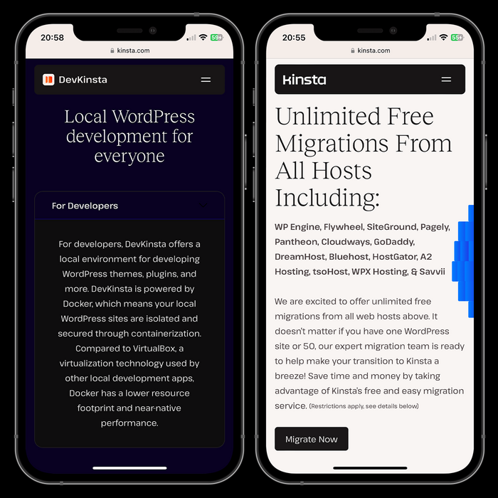 Kinsta website 6