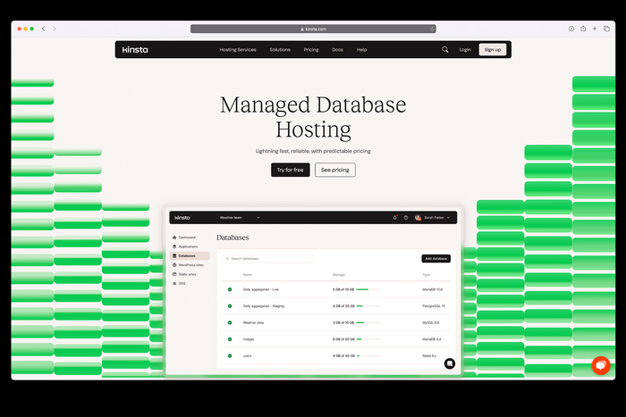 Kinsta website 7