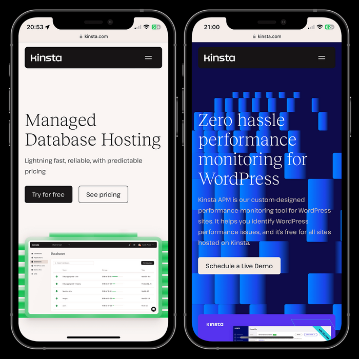 Kinsta website 8