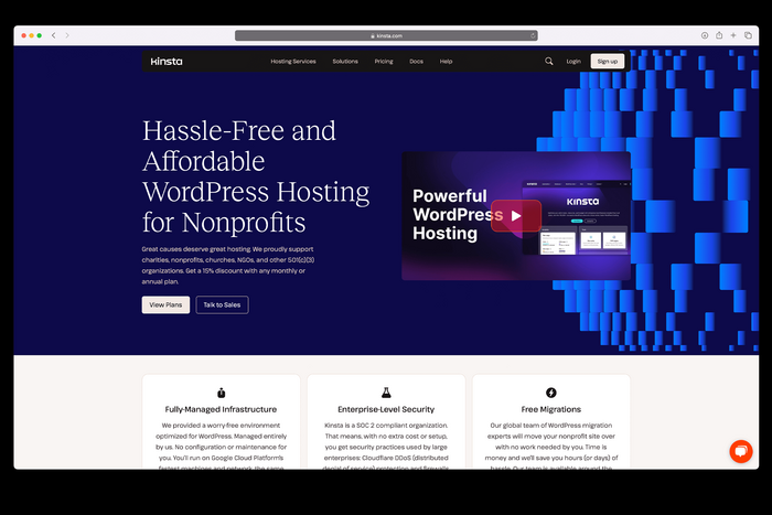 Kinsta website 9