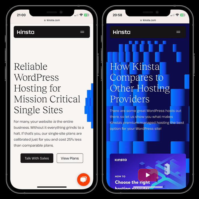 Kinsta website 10