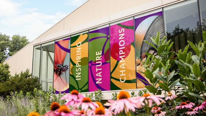 Nature Museum visual identity 5