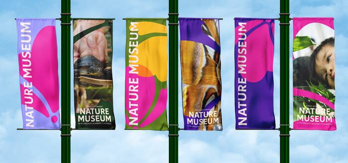 Nature Museum visual identity 6