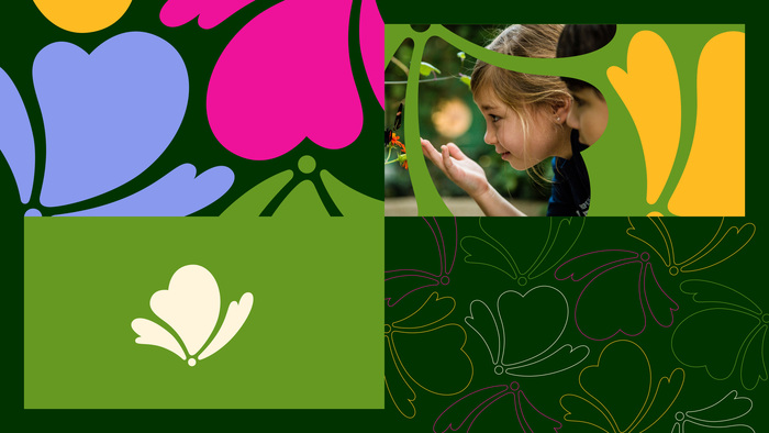 Nature Museum visual identity 7