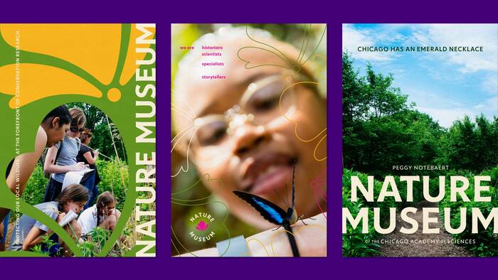 Nature Museum visual identity 9