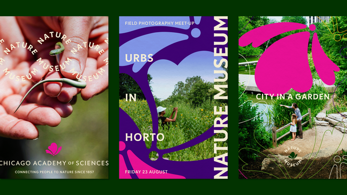 Nature Museum visual identity 10