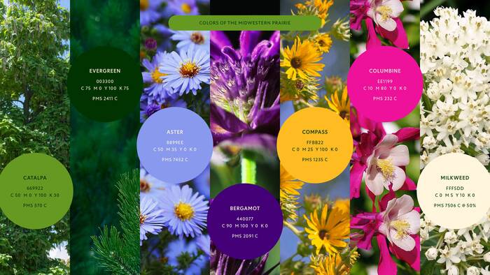 Nature Museum visual identity 12