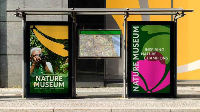 Nature Museum visual identity 13