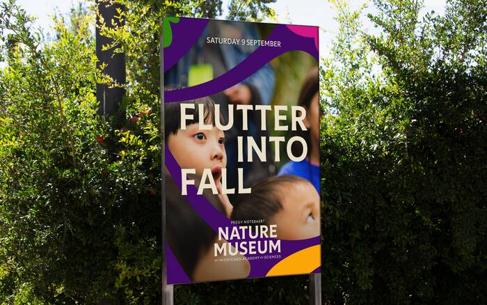Nature Museum visual identity 14