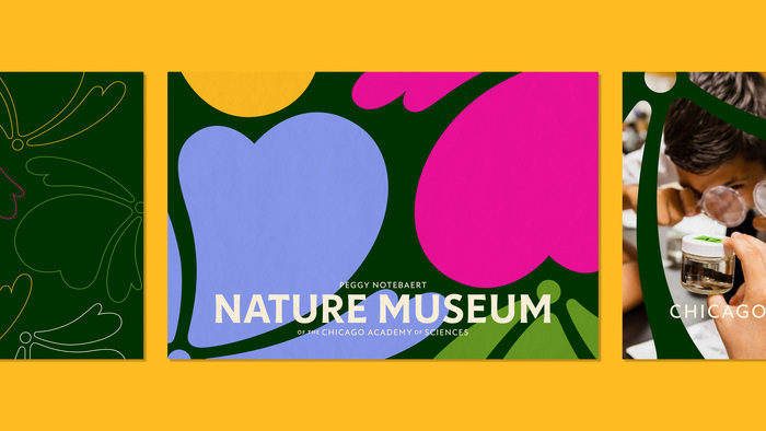 Nature Museum visual identity 16