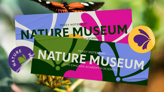 Nature Museum visual identity 20