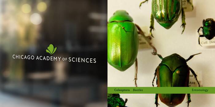 Nature Museum visual identity 22