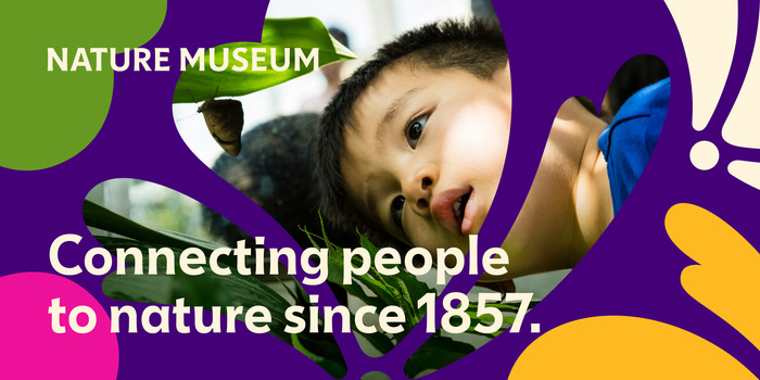 Nature Museum visual identity 24