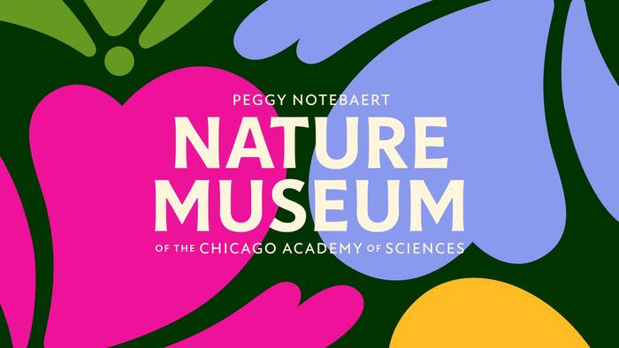 Nature Museum visual identity 1