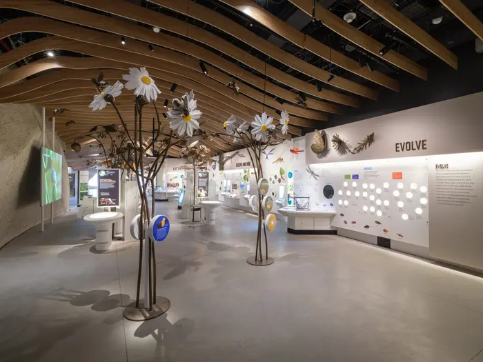 The Insectarium at the American Museum of Natural History 12