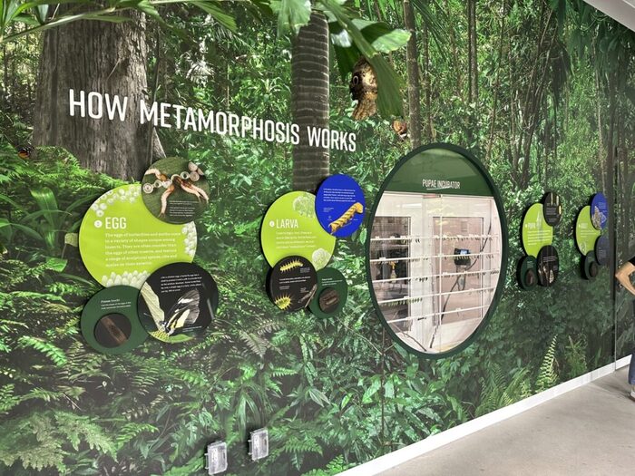 The Insectarium at the American Museum of Natural History 4