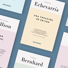 Colección Editor (2018–2024) by gris tormenta