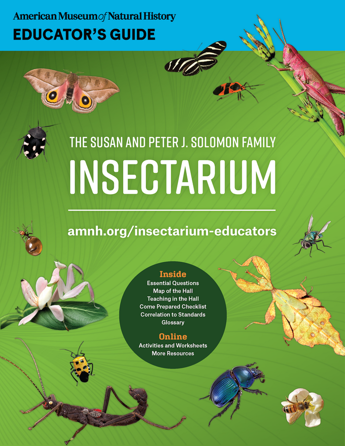 The Insectarium at the American Museum of Natural History 13