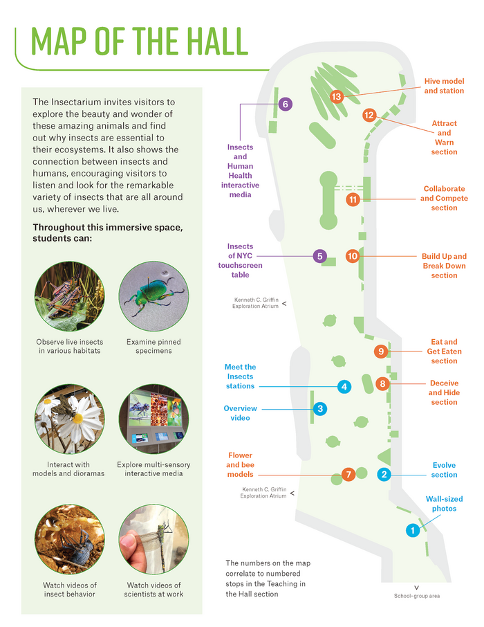 The Insectarium at the American Museum of Natural History 16