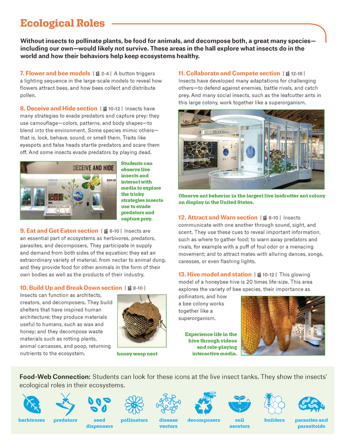 The Insectarium at the American Museum of Natural History 17