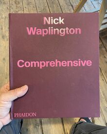 <cite>Comprehensive</cite> by Nick Waplington