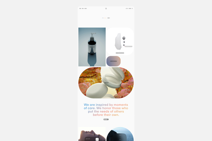OEM website 2