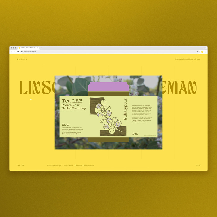 Linsey Dolleman portfolio website 3