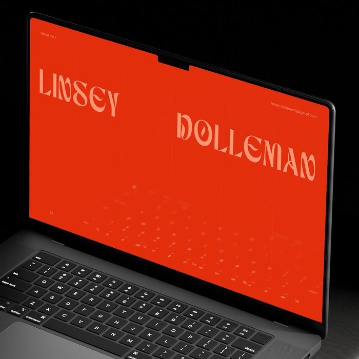 Linsey Dolleman portfolio website 1