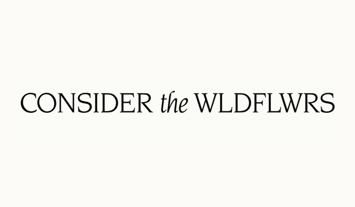 The logo in  was introduced together with the new typefaces as part of the 2023 redesign.