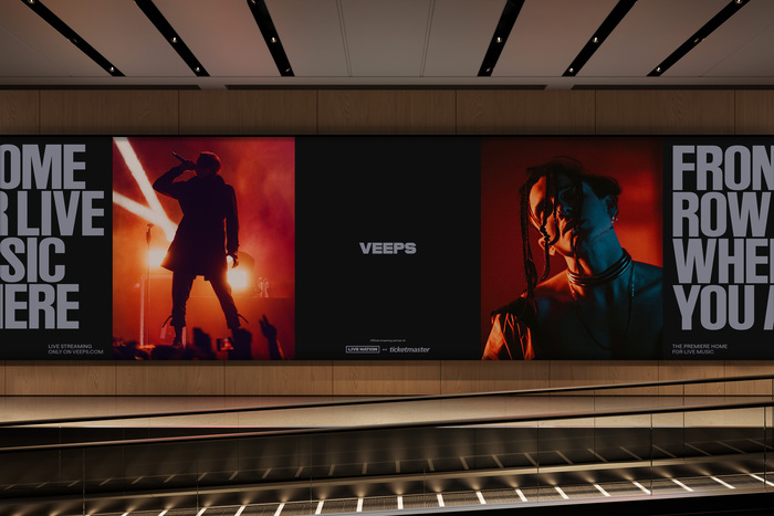 VEEPS identity 1