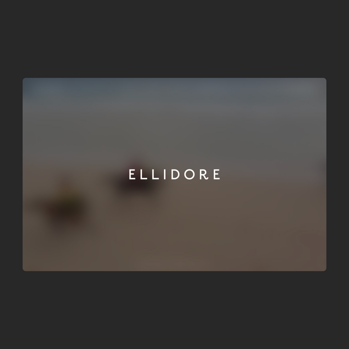 Ellidore website 1