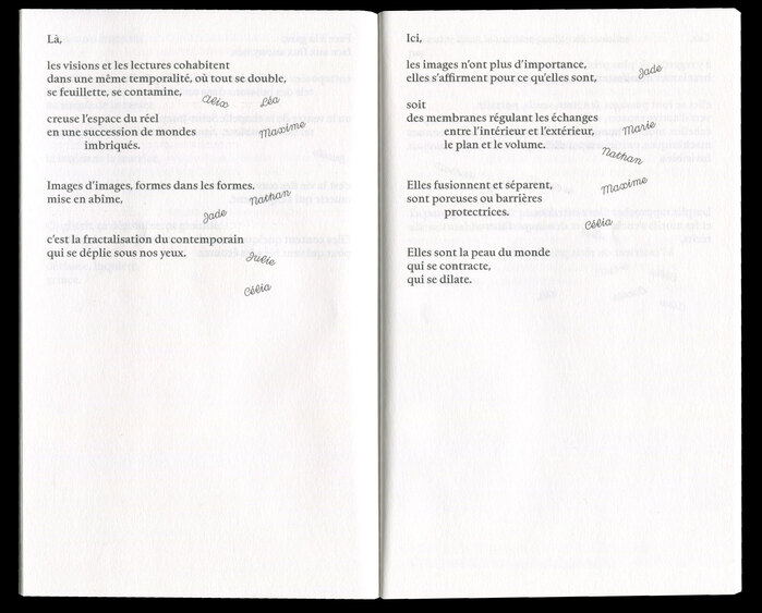 Pépin ou pépins booklet and exhibition guide 4