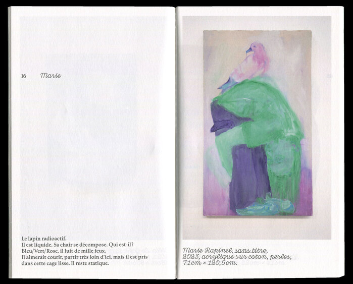 Pépin ou pépins booklet and exhibition guide 3