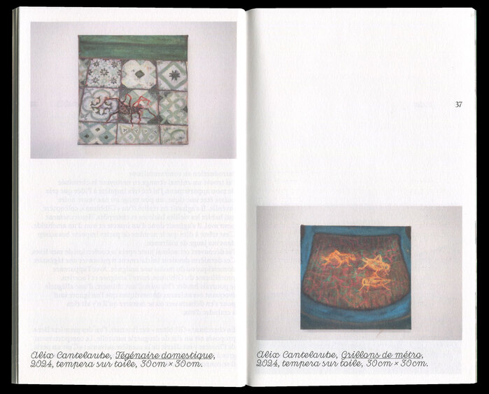 Pépin ou pépins booklet and exhibition guide 5