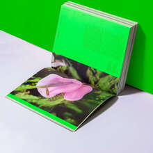 <cite>Botannica Tirannica </cite>by Giselle Beiguelman