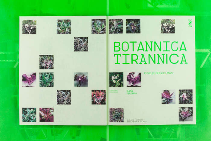 Botannica Tirannica by Giselle Beiguelman 3
