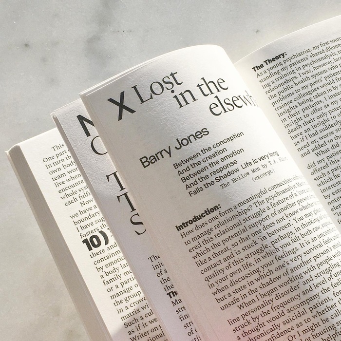 The headlines are set in Newsreader, the author name in , the quote in , the caption in , the subheadings in , and the body text in .