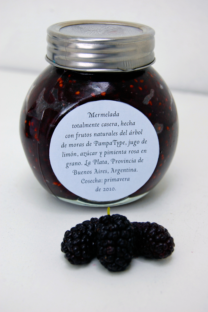 Blackberry jam labels 2