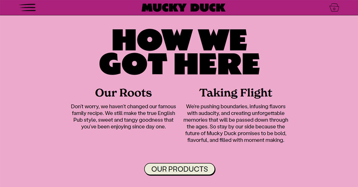 Mucky Duck branding and website 11