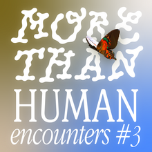 More Than Human Encounters<span class="nbsp"></span>