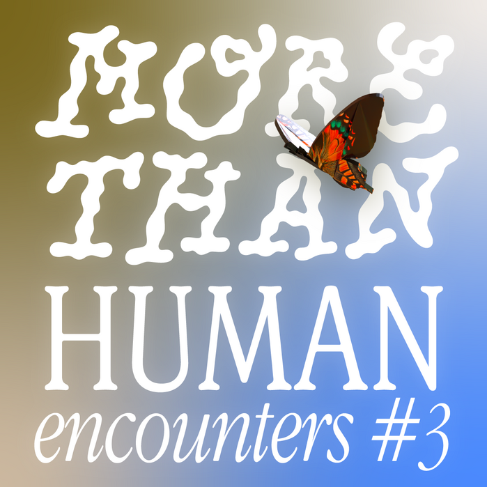 More Than Human Encounters 1