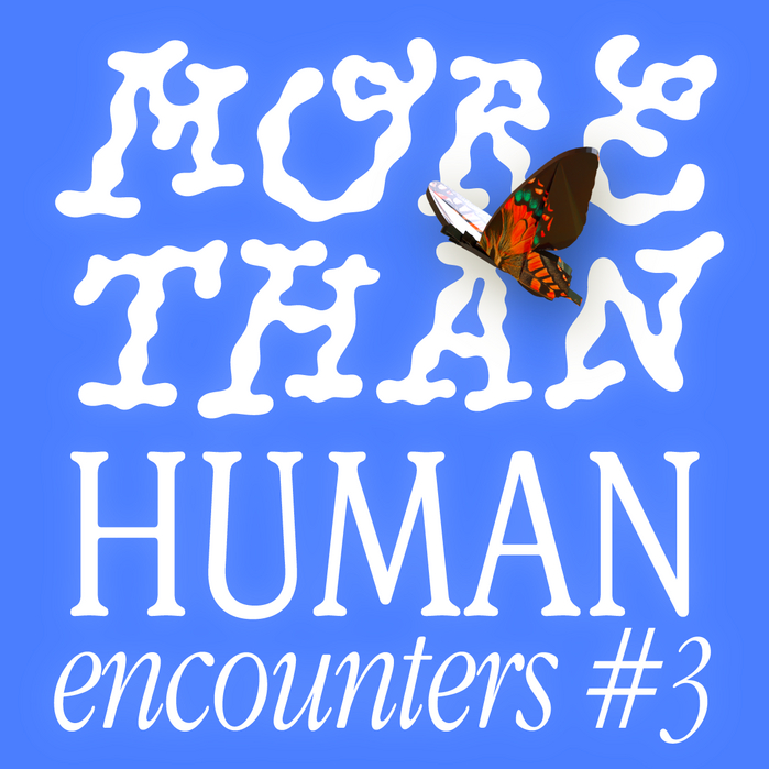 More Than Human Encounters 3