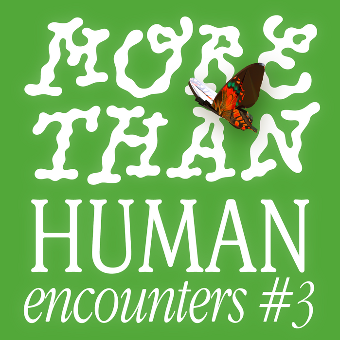 More Than Human Encounters 5