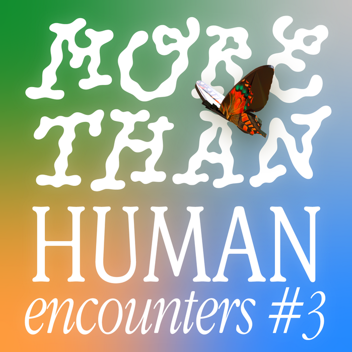 More Than Human Encounters 7